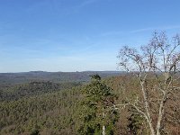 SORTIE CHATEAU FALKENSTEIN ROCHER DU FALKENBERG 08 02 2019 20